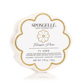 Daisy Travel Body Spongette - Freesia Pear